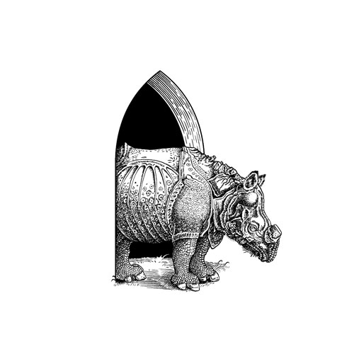 Rhinoceros by Albrecht Durer